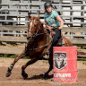 Meet your Posher, Talor